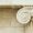 Decorative detail of an ancient Ionic column. close up.