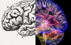 Bilkent-UNAM Philosophy of Mind Conference