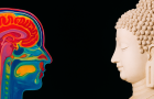 Mind, Ethics, and Metaphysics in Buddhism Conference